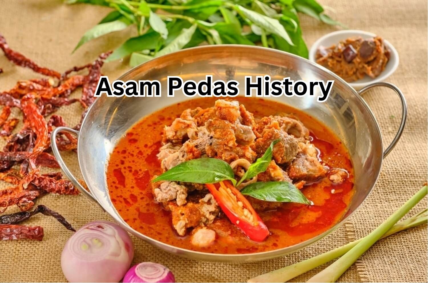Delicious Malaysian Instant Paste | Asam Pedas, Kari & Satay | Nisa